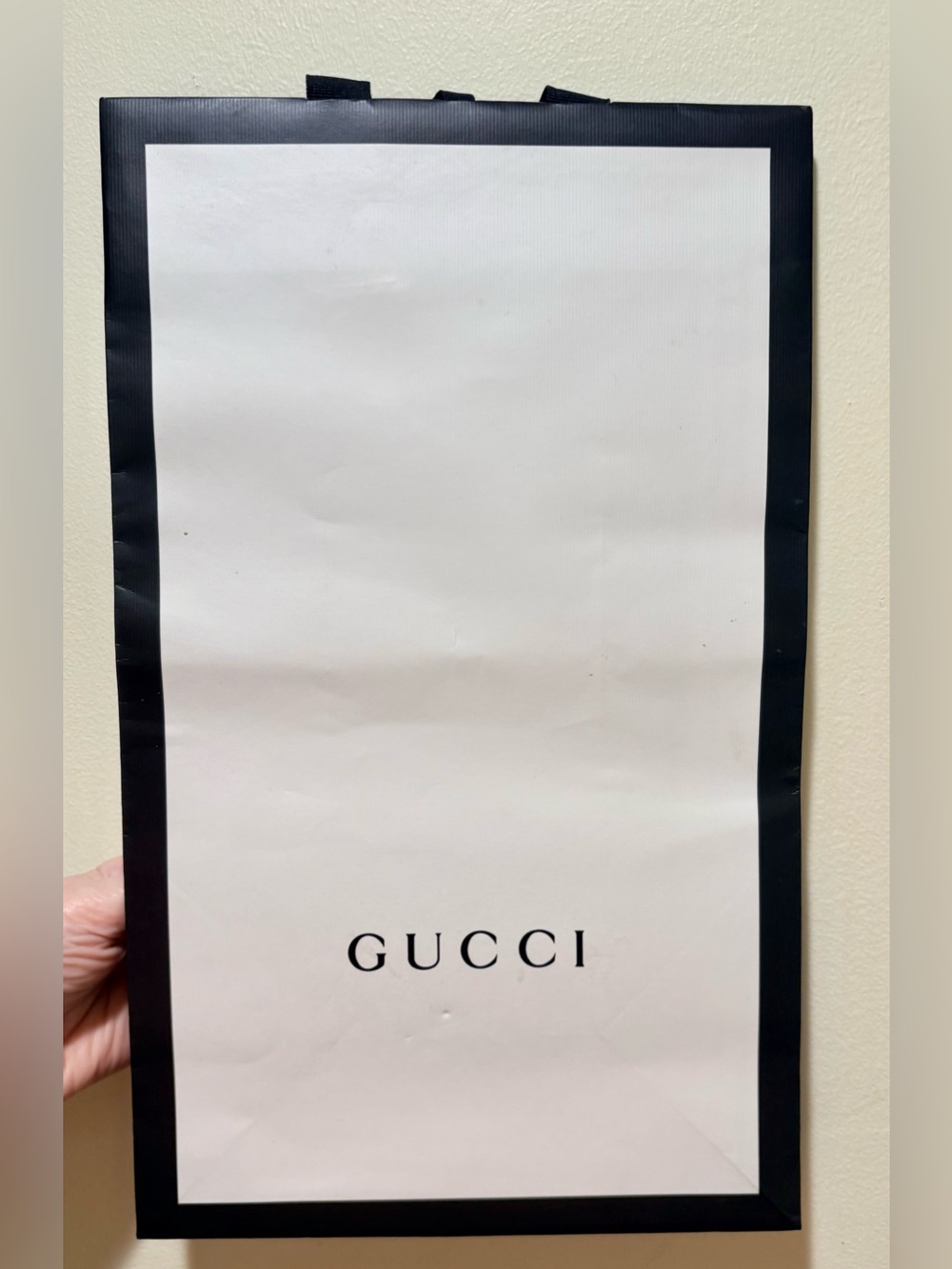 Gucci Empty Shopping Bag